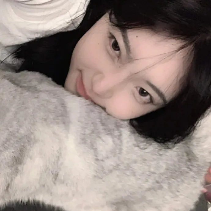 雪地灵犬3