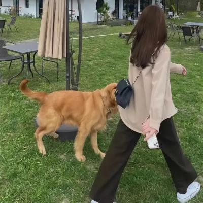 红盾先锋